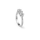 SALVINI TRILOGY LAVINIA