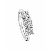 ANELLO DAPHNE