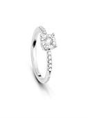ANELLO DAPHNE