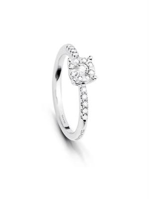 ANELLO DAPHNE