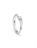 ANELLO DESIDERIA
