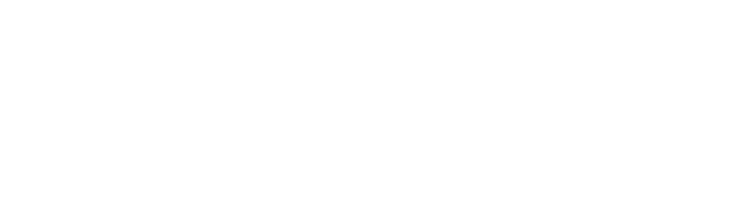 logo-pellicciari-footer